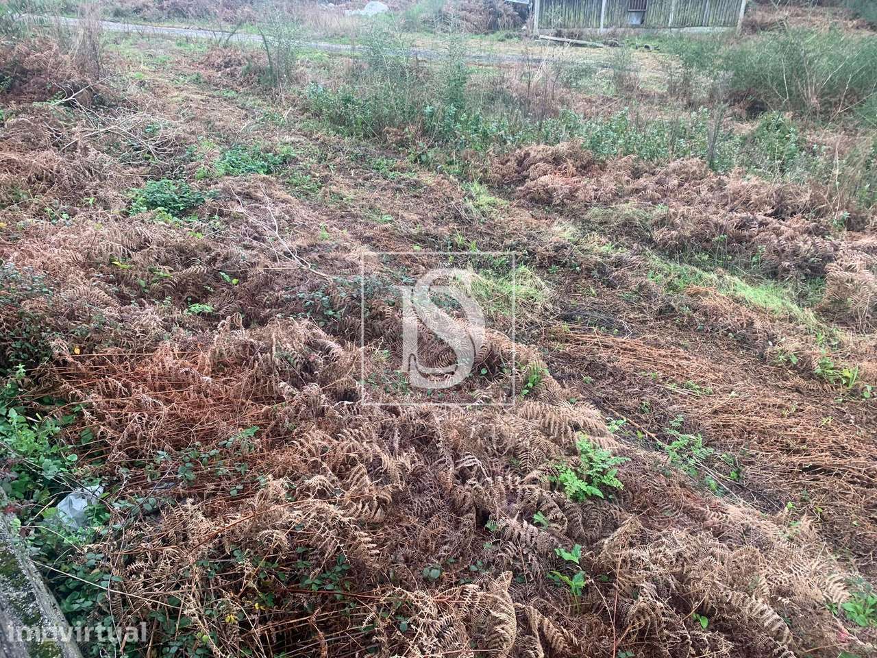 Terreno  Venda em Mujães,Viana do Castelo - Grande imagem: 3/15