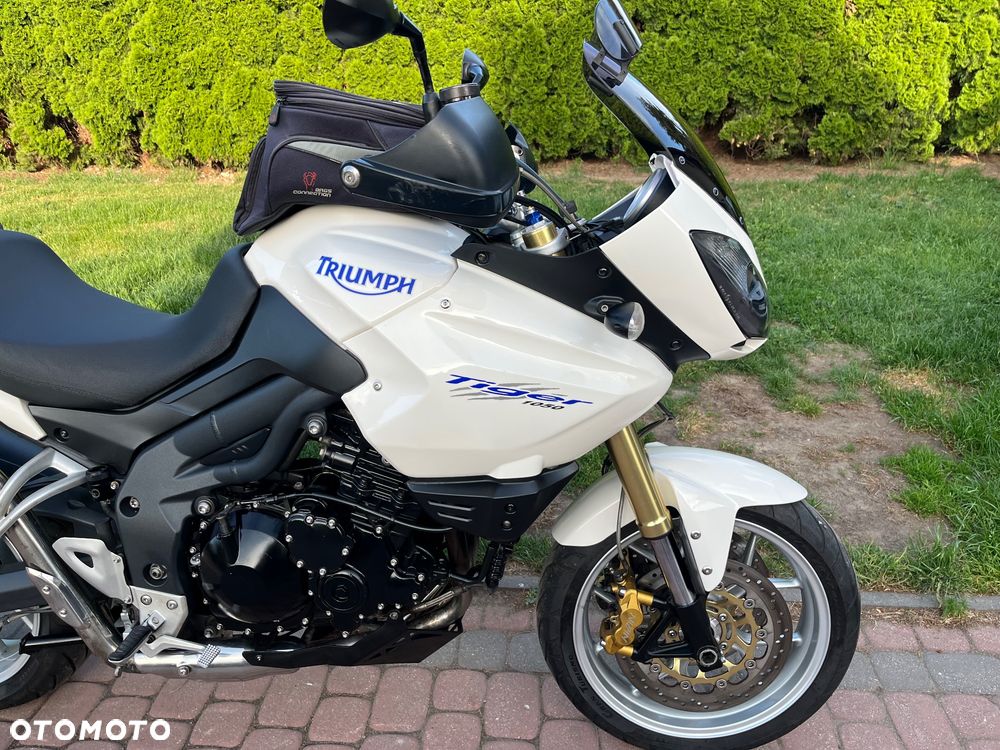 Triumph Tiger - 18
