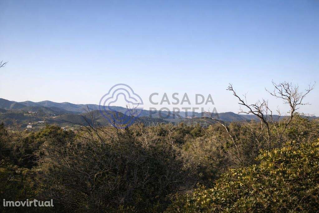 Entre a serra e o litoral. Terreno 4.000 m2 | Construção até 600m2 | 2 - Grande imagem: 4/16