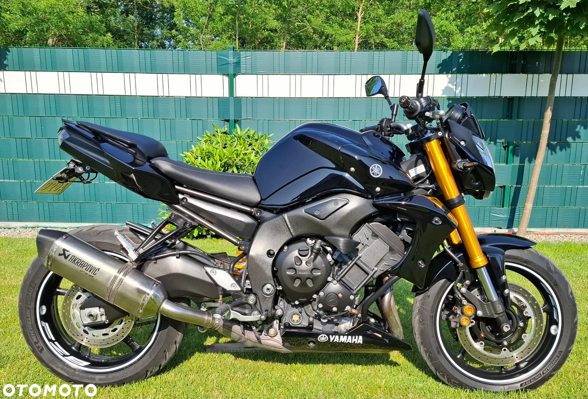 Yamaha FZ8 - 21