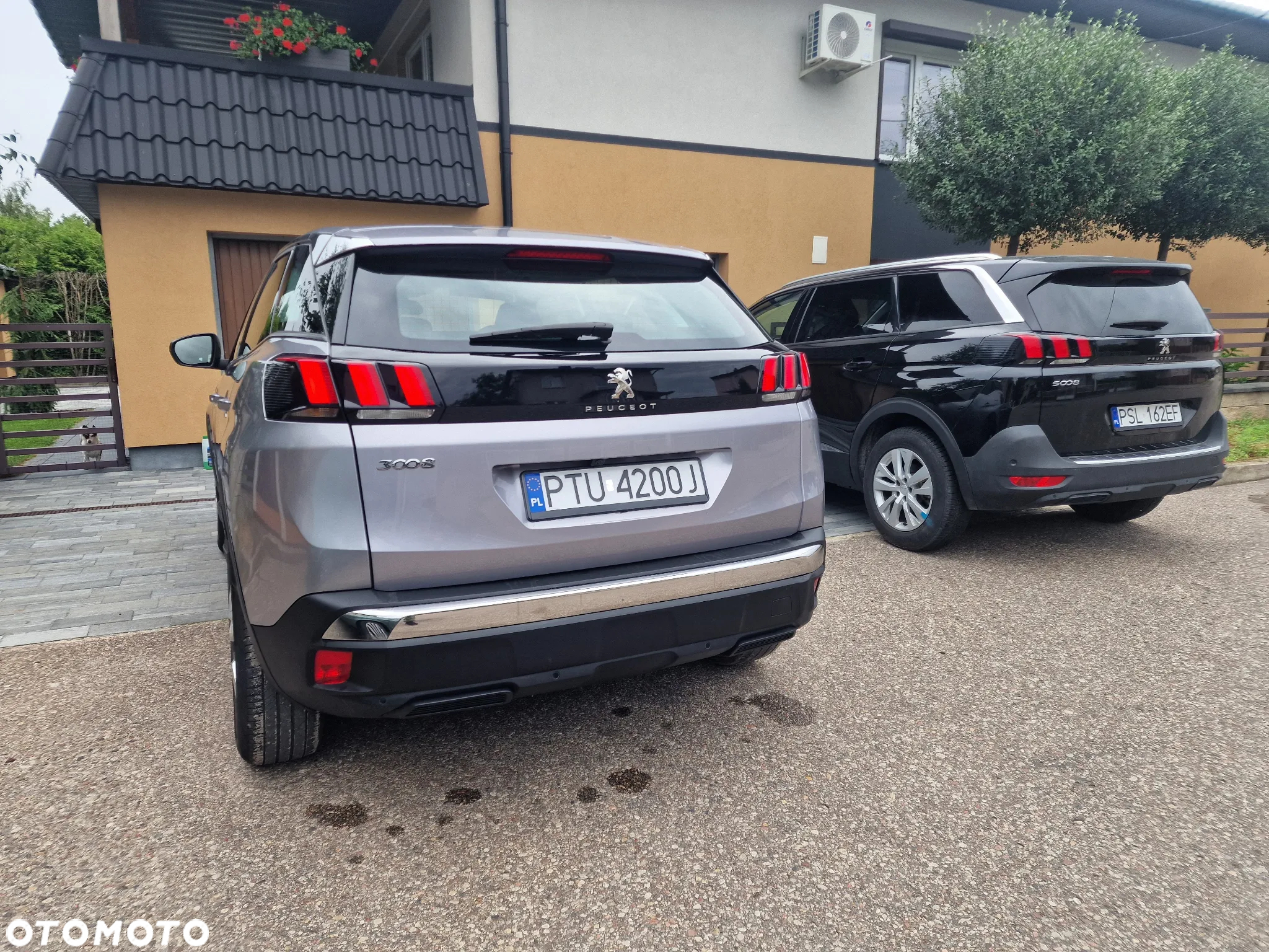 Peugeot 3008 1.5 BlueHDi Active Pack S&S - 9