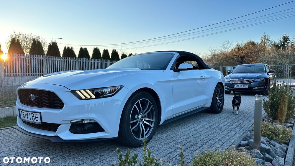 Ford Mustang 2.3 EcoBoost - 3