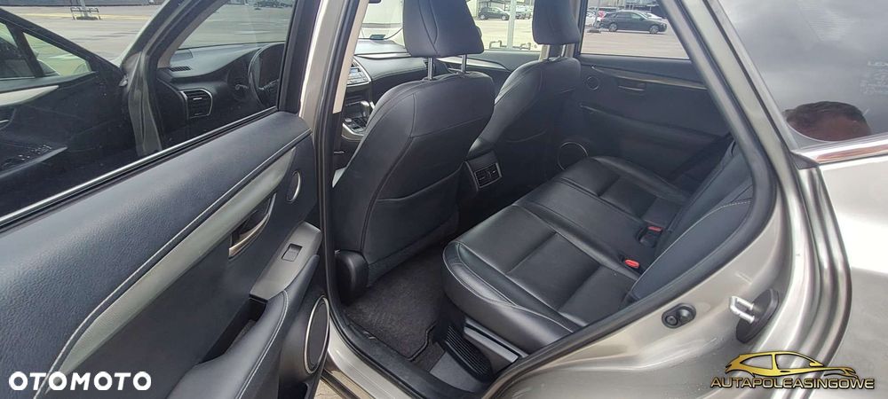 Lexus NX - 10