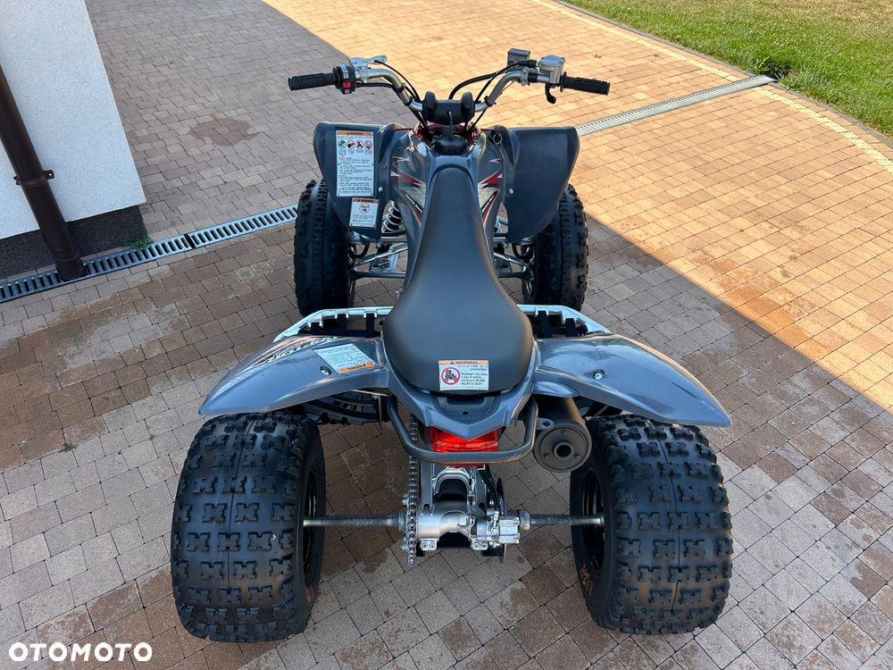 Yamaha Raptor - 18