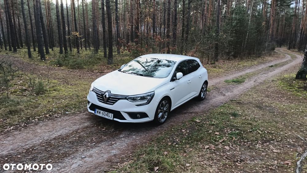 Renault Megane 1.3 TCe FAP Business - 2