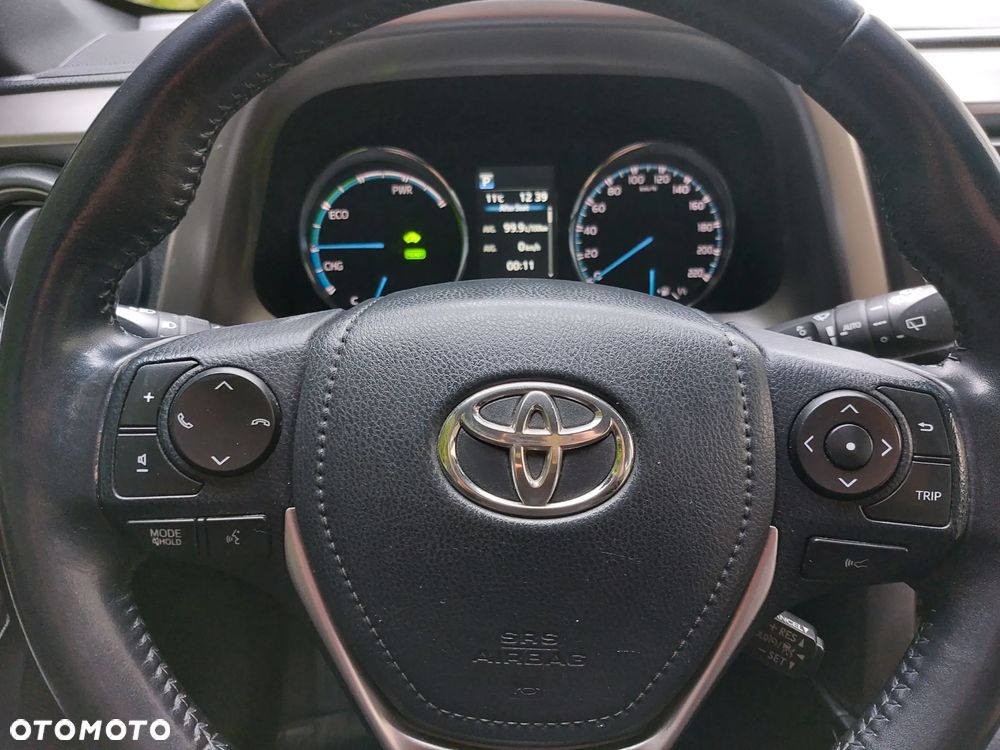 Toyota RAV4 Hybrid Platinum 4x2 - 19