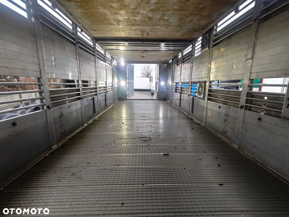 Scania R450 * do żywca * do bydła * świniarka *do trzody - 8