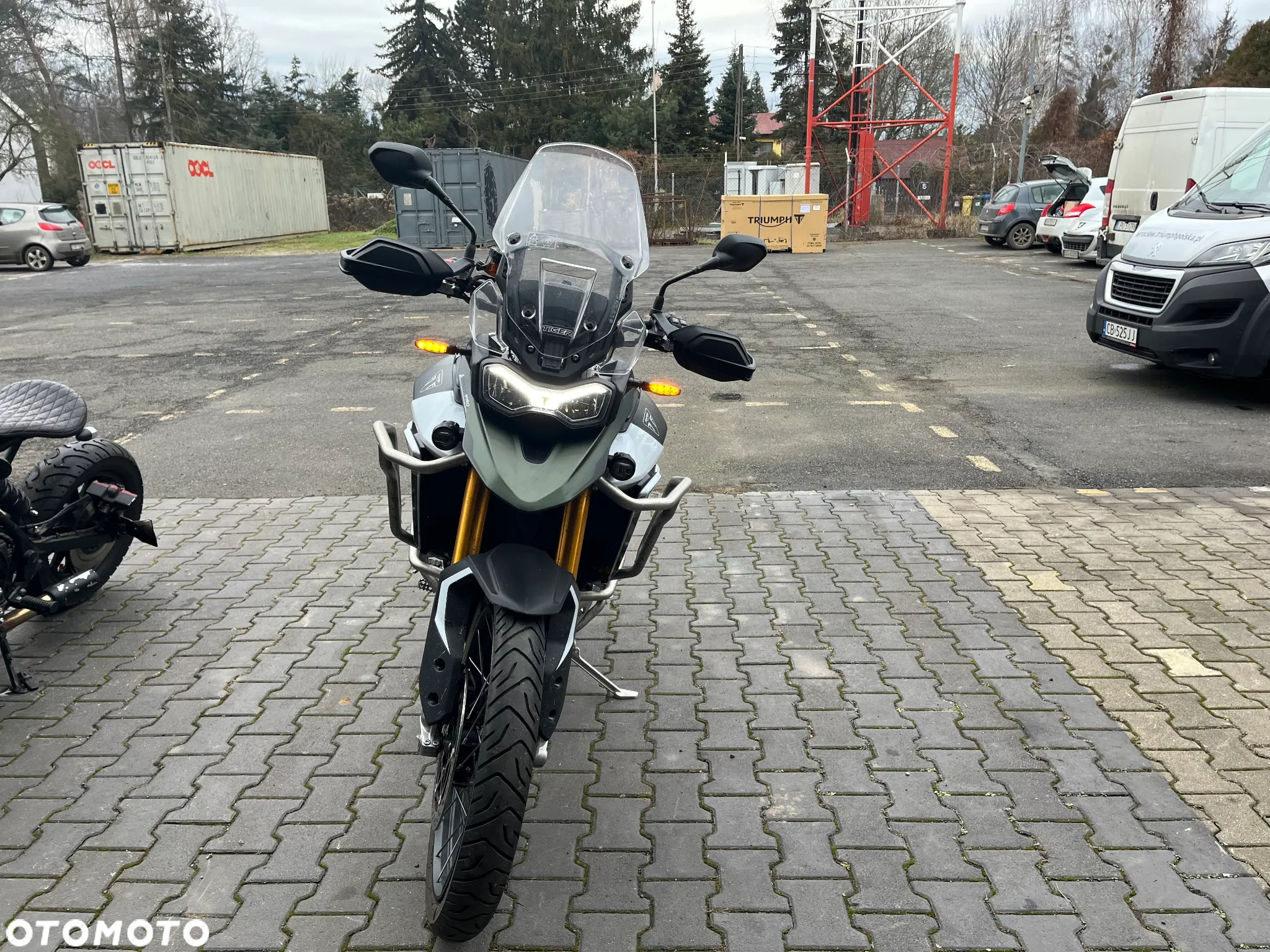 Triumph Tiger