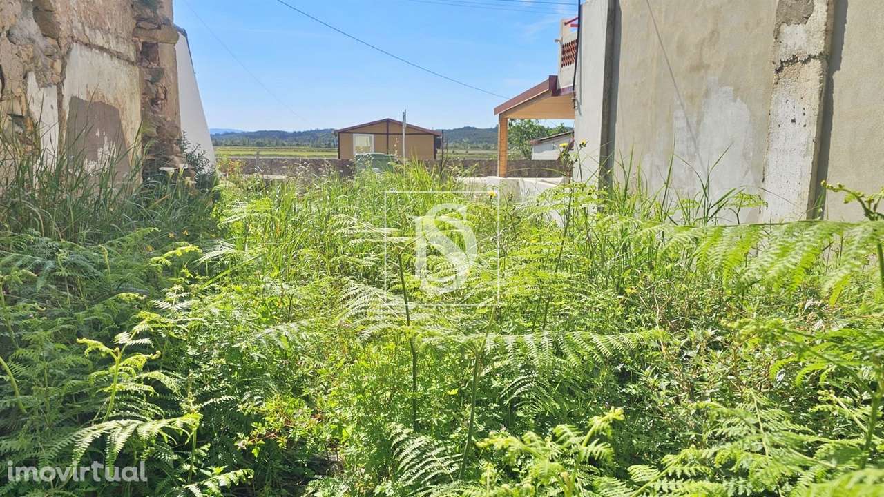 Terreno  Venda em Ereira,Montemor-o-Velho - Grande imagem: 3/19