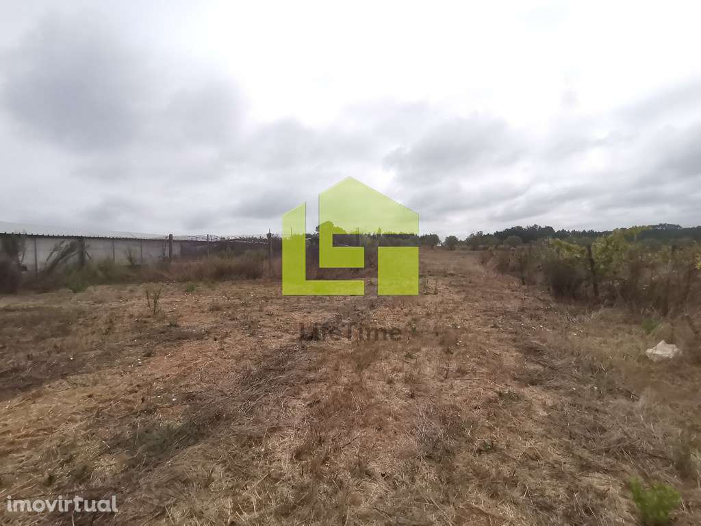 Quinta em Soure - Grande imagem: 5/13