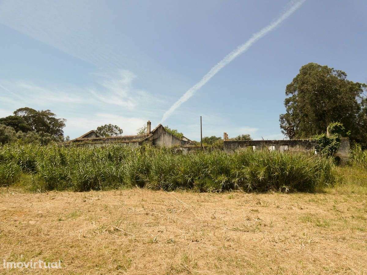 Quinta com 34090m2 - Grande imagem: 3/15