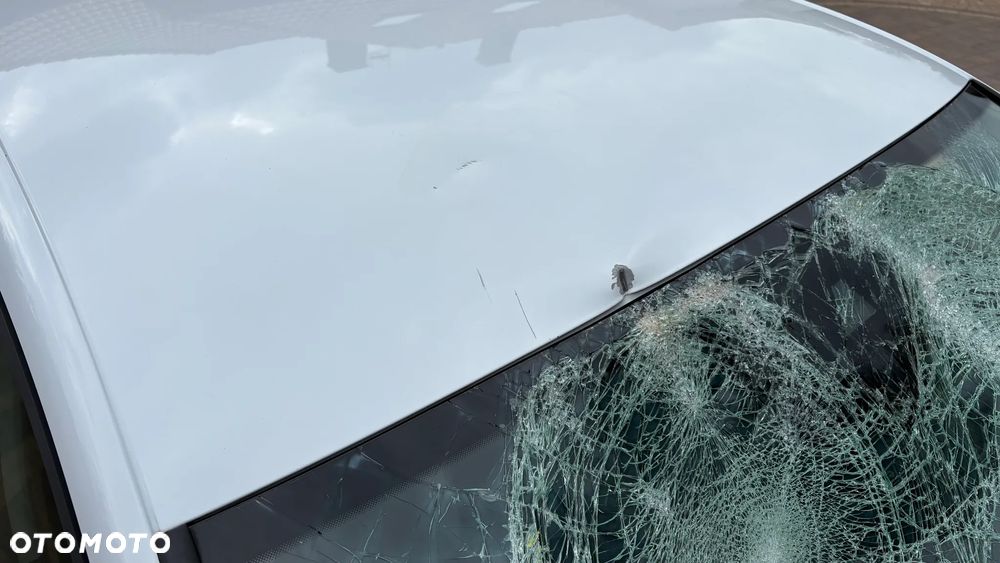 Seat Leon 1.5 EcoTSI Evo Full LED S&S - 18