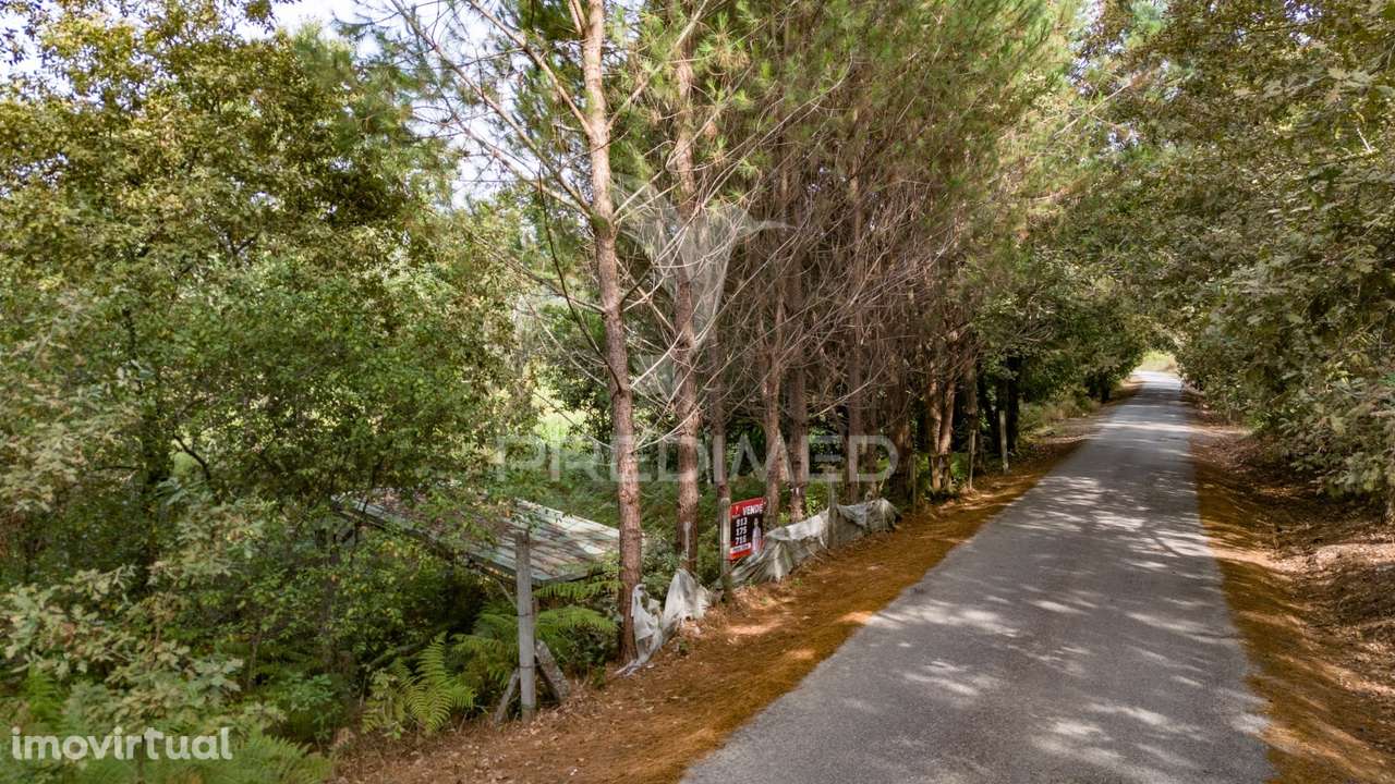 Terreno na Lage - Grande imagem: 3/31