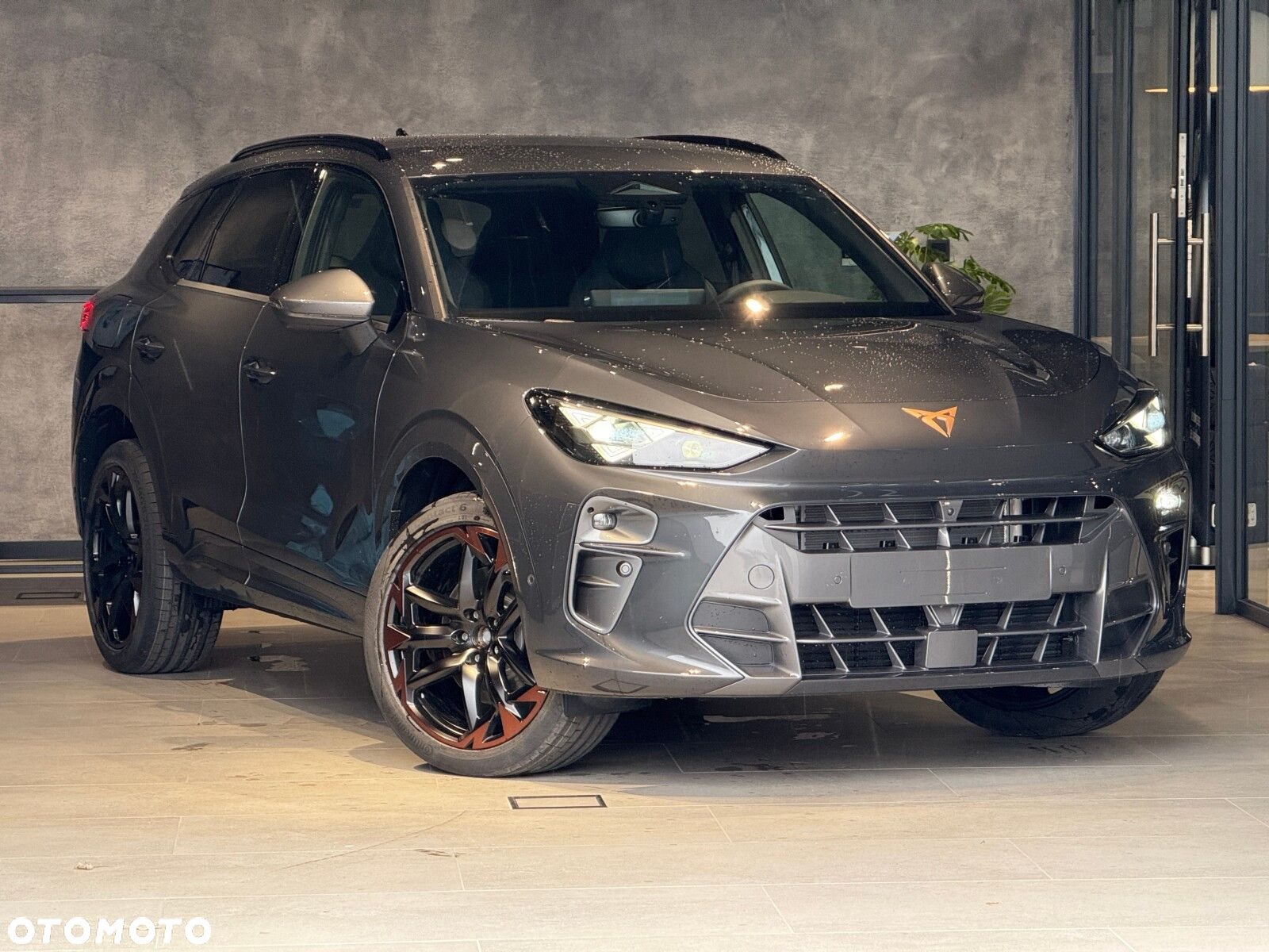 Cupra Terramar - 10