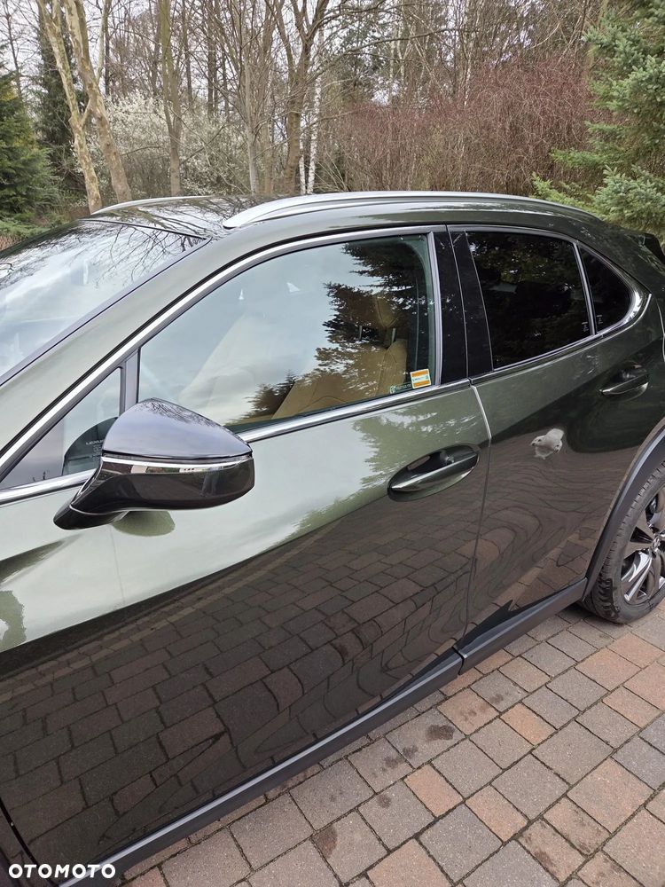 Lexus UX 200 GPF F Sport Edition 2WD - 14