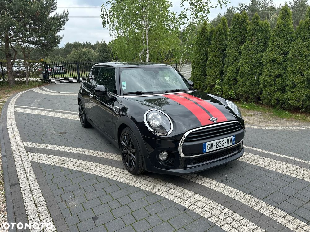 MINI ONE Blackyard - 3