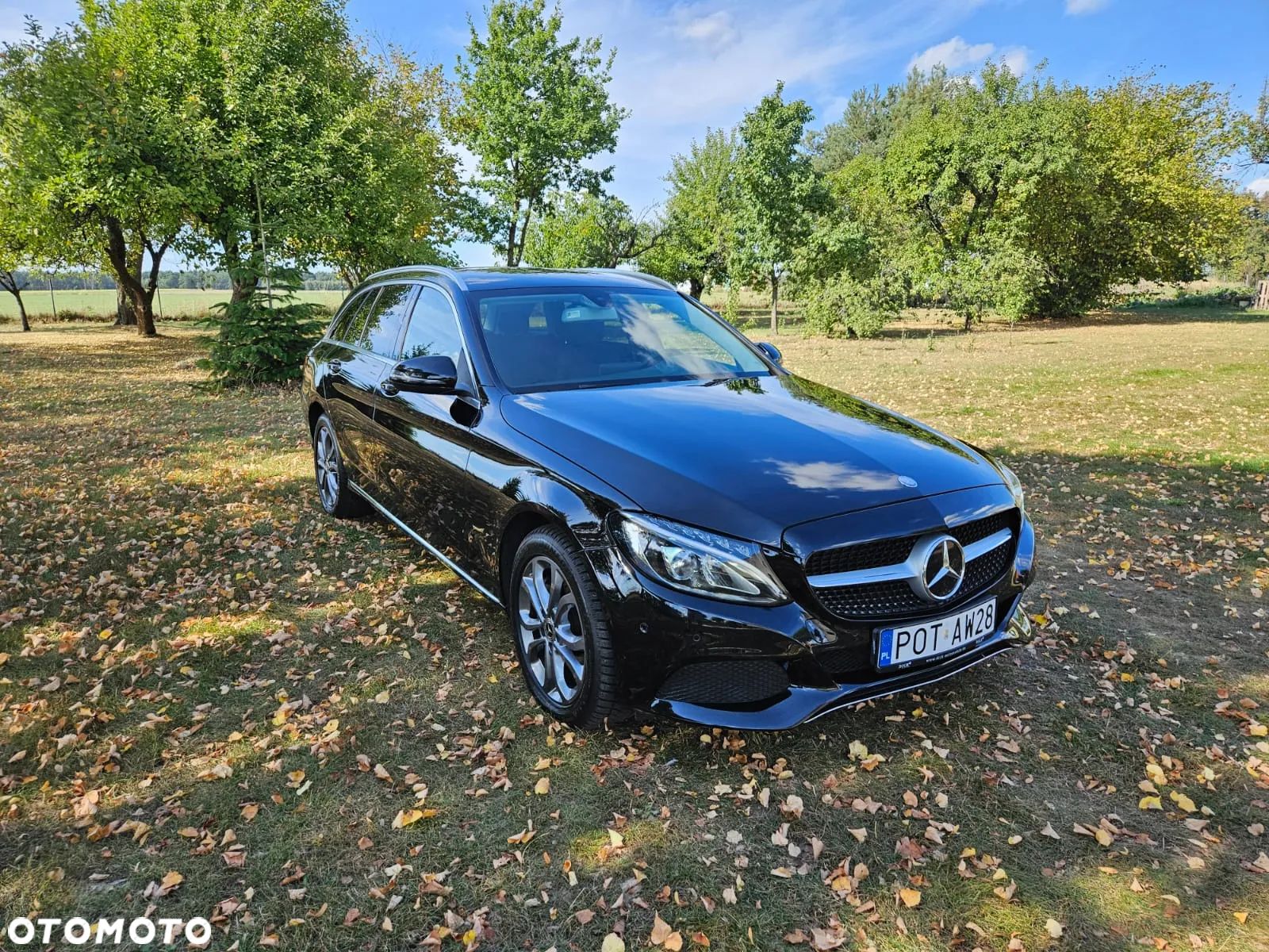 Mercedes-Benz Klasa C 250 d 4-Matic 9G-TRONIC - 1