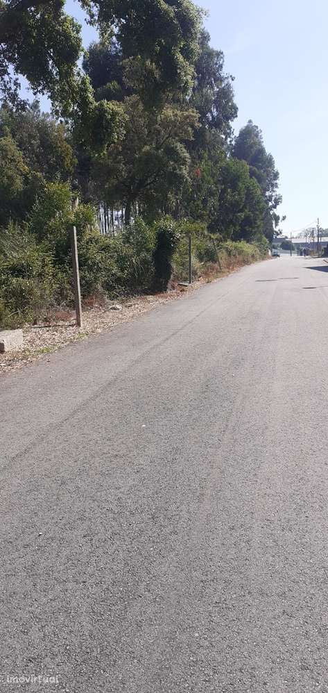 Terreno para construção em Santa Maria de Lamas - Grande imagem: 4/14