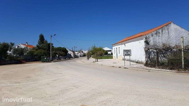 Cartaxo-Arrendo terreno - Grande imagem: 3/5