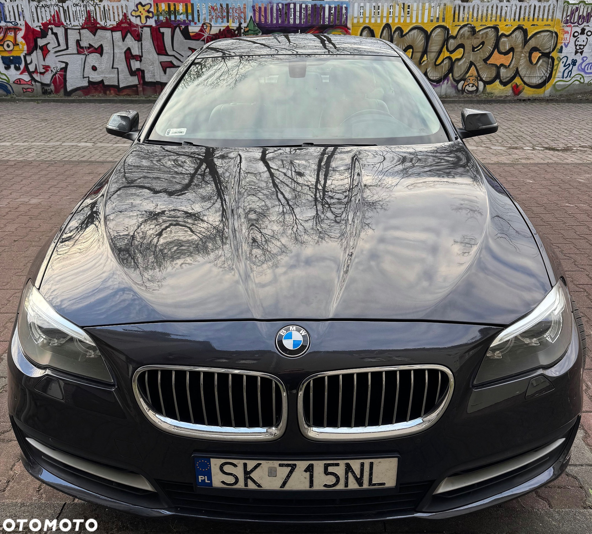 BMW Seria 5 - 3