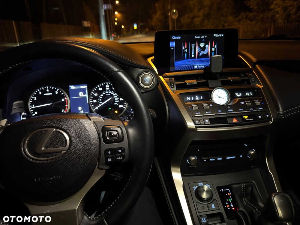Lexus NX 300 - 40