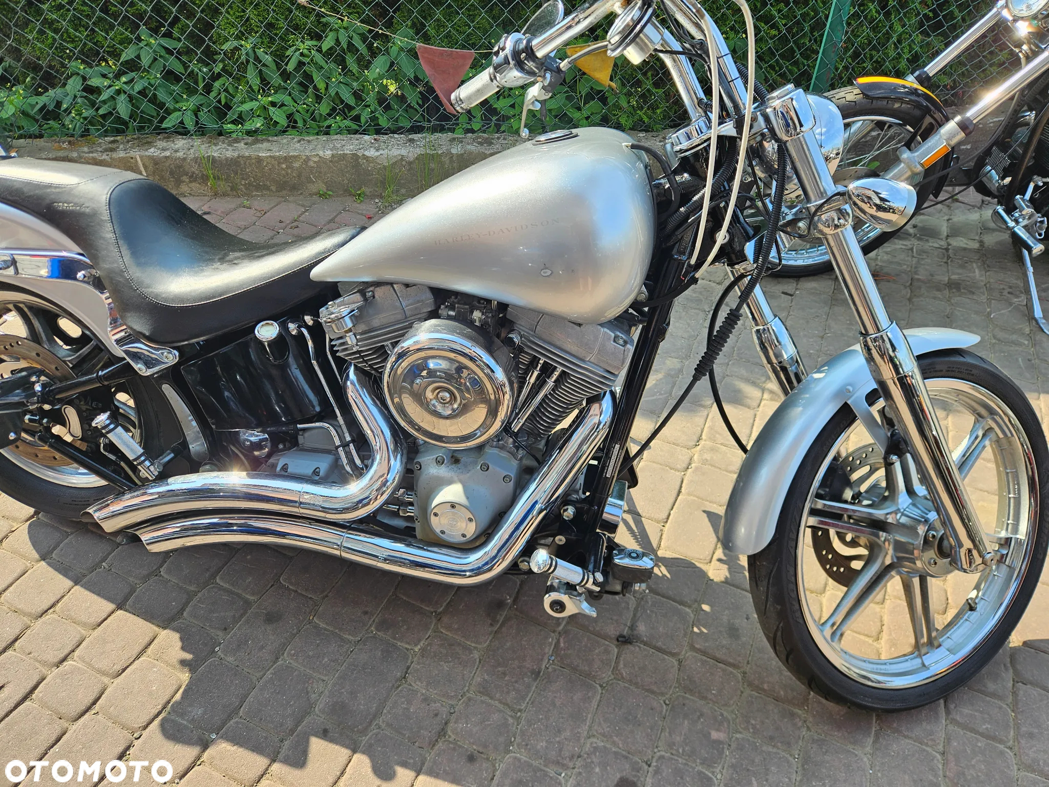 Harley-Davidson Softail Standard - 3