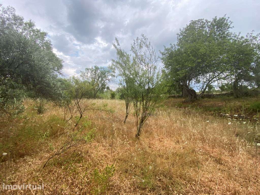 Lote de terreno rústico com a área total de 610m2, Salir, Algarve - Grande imagem: 5/9