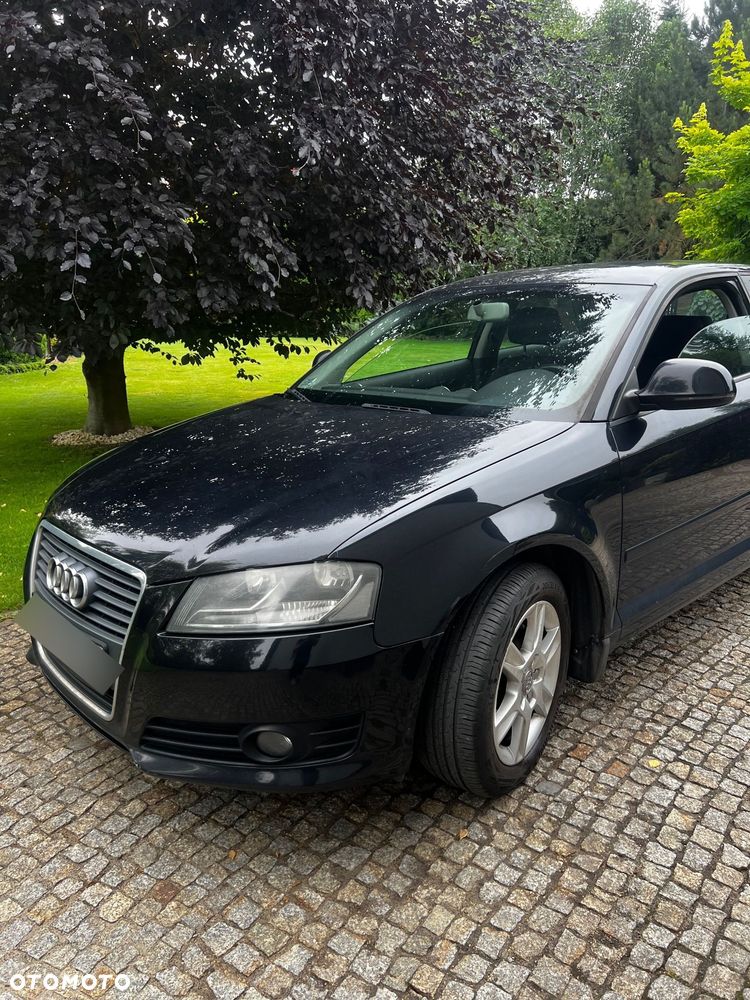 Audi A3 3-drzwiowe - 2