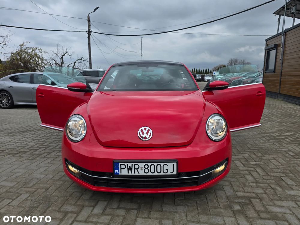 Volkswagen Beetle - 20