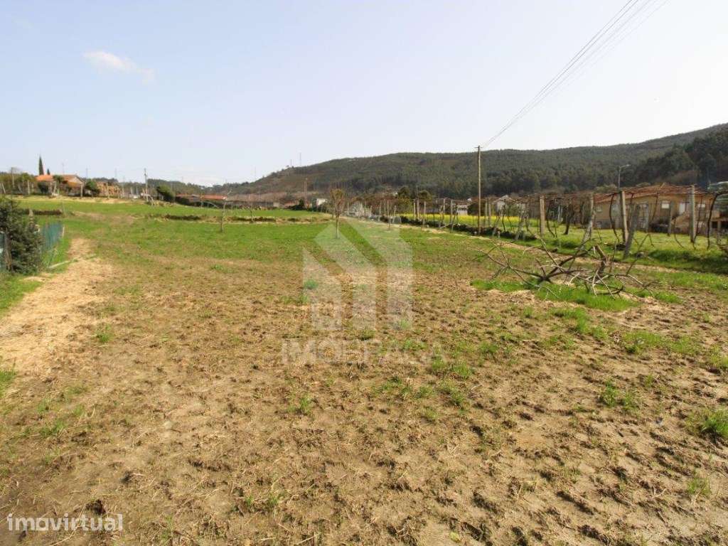 Venda de Terreno, em S. Mamede (Este), Braga - Grande imagem: 2/13