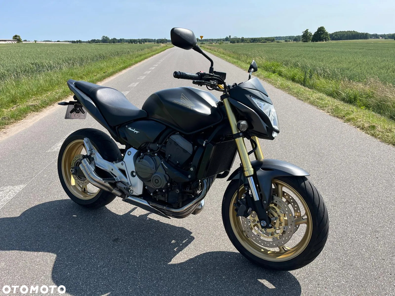 Honda Hornet - 11