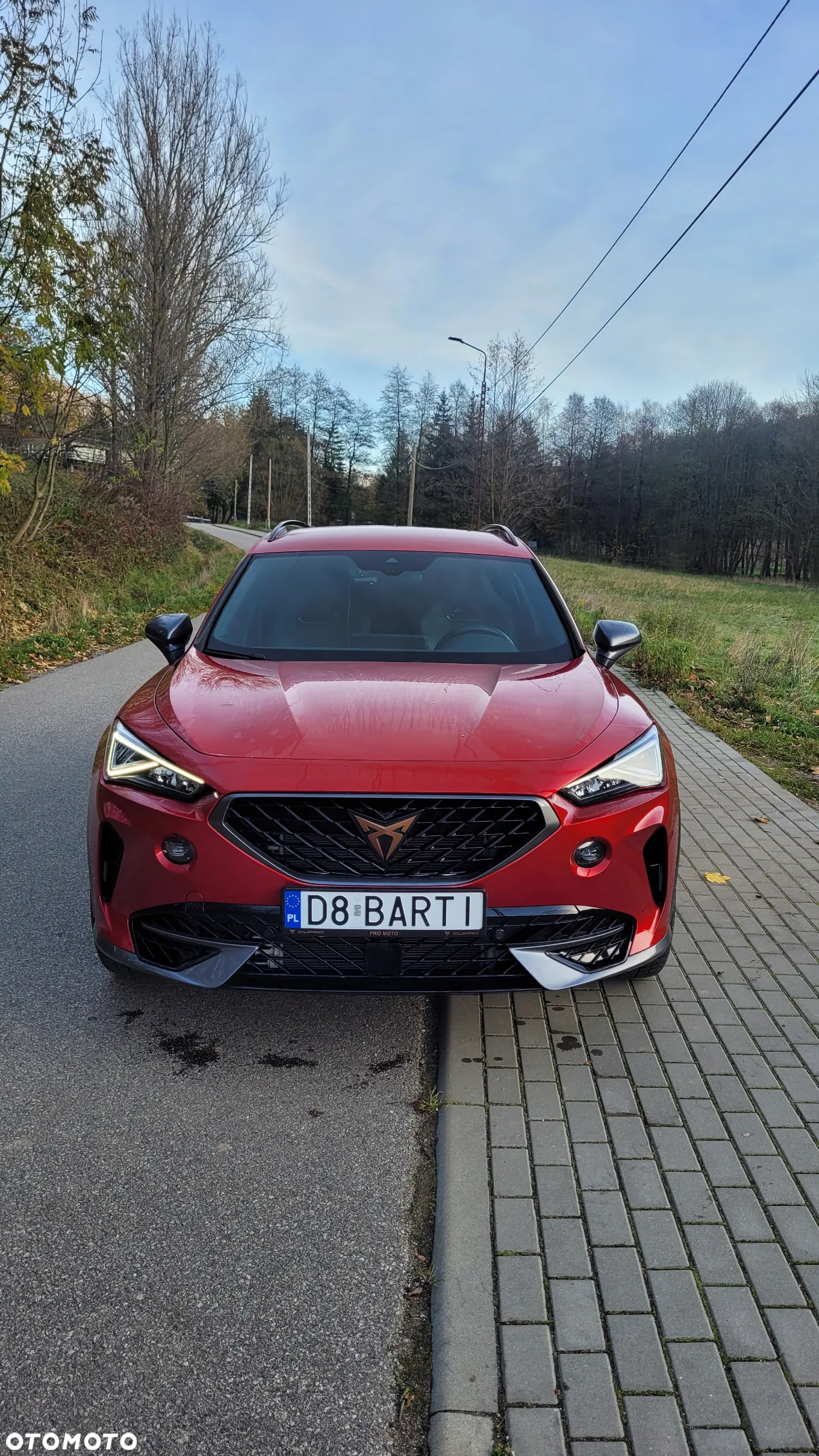 Cupra Formentor 2.0 TSI 4Drive VZ DSG - 5