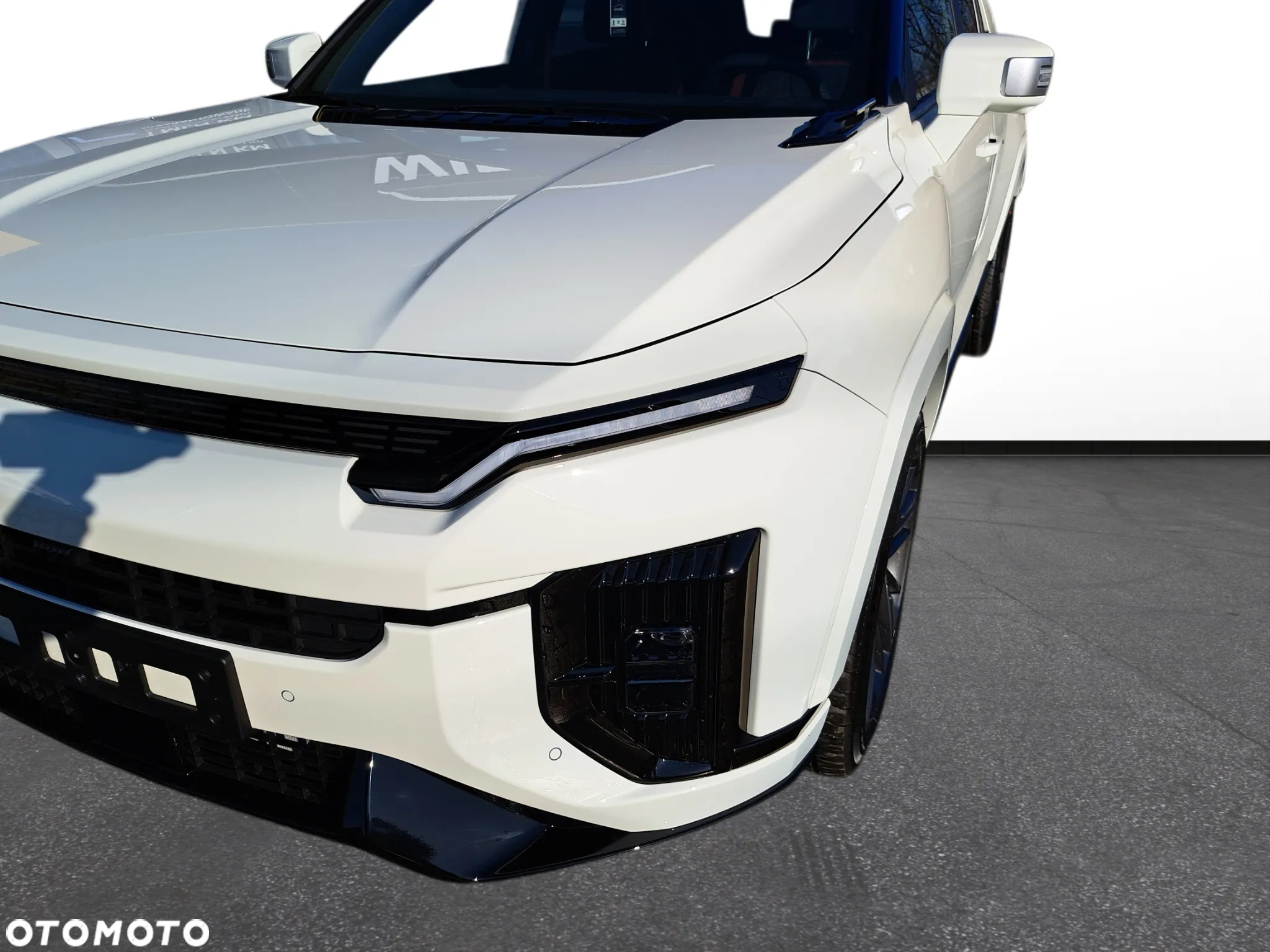 SsangYong/KGM Actyon - 10
