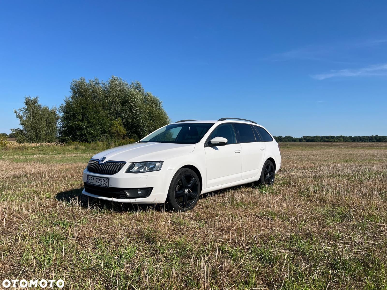 Skoda Octavia 2.0 TDI 4x4 Ambition DSG - 1