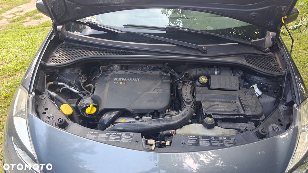 Renault Clio - 28