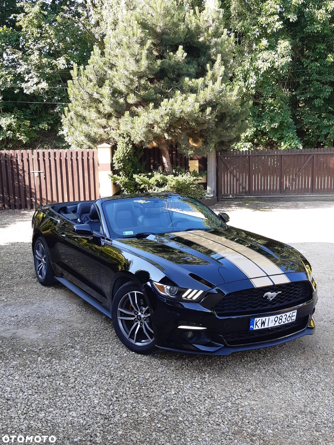 Ford Mustang Cabrio 2.3 Eco Boost - 17