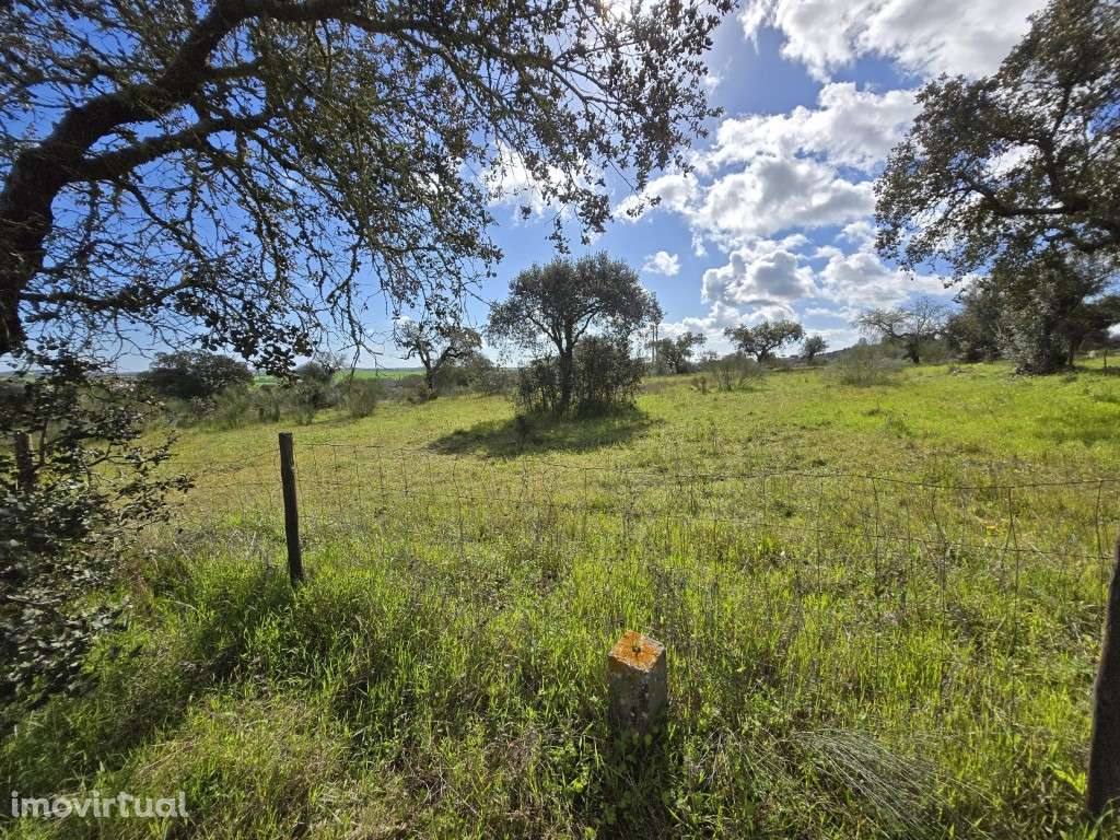 Terreno Rústico Junto à Barragem de Lucefecit, em Terena - Grande imagem: 5/15