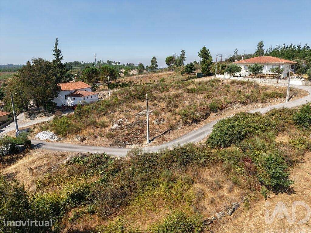 Terreno Agrícola em Mangualde, Mesquitela e Cunha Alta - Grande imagem: 4/6