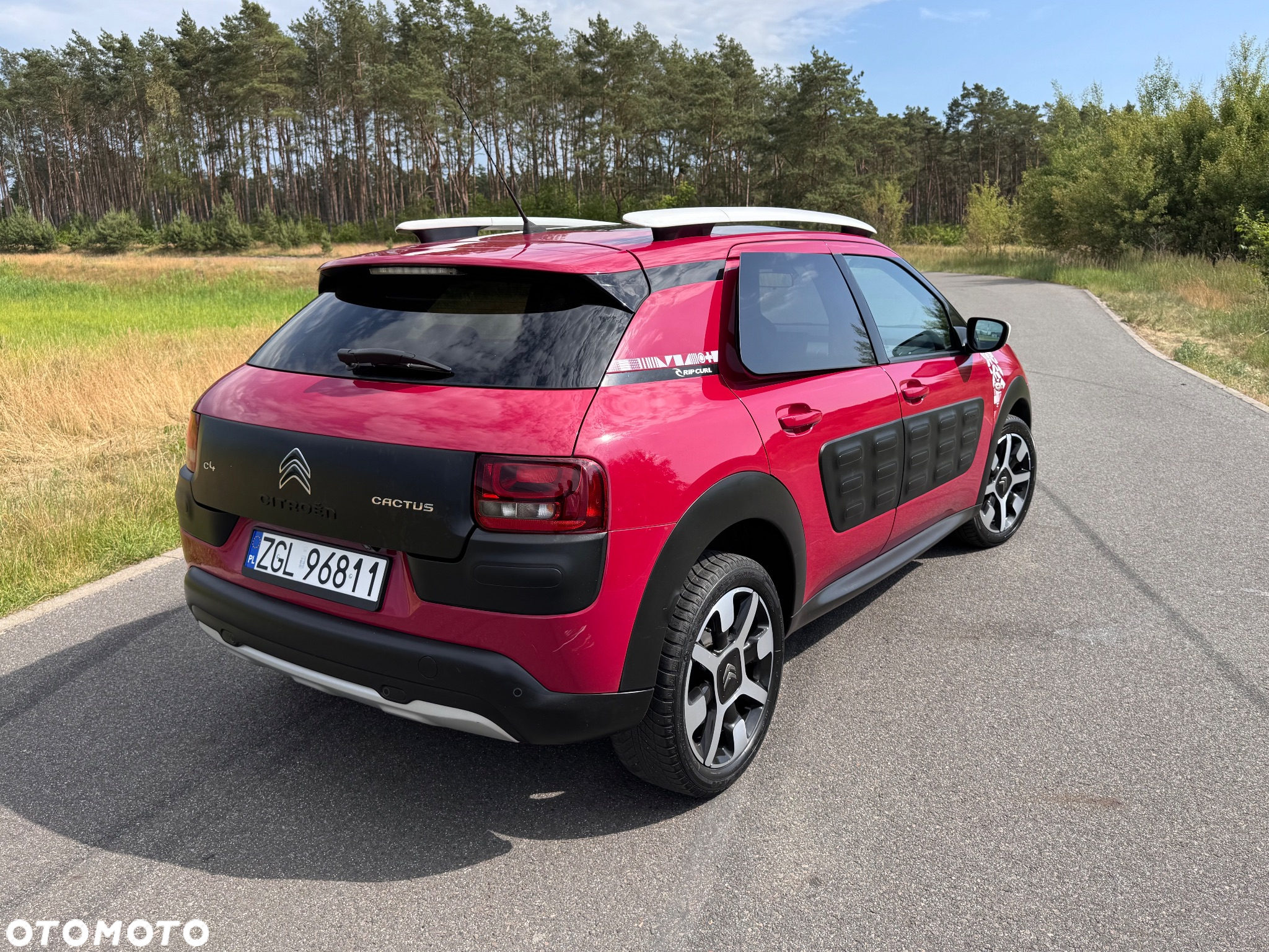 Citroën C4 Cactus 1.2 PureTech Rip Curl S&S - 5