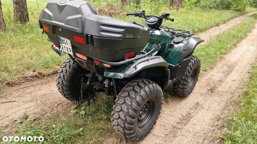 Yamaha Grizzly - 6