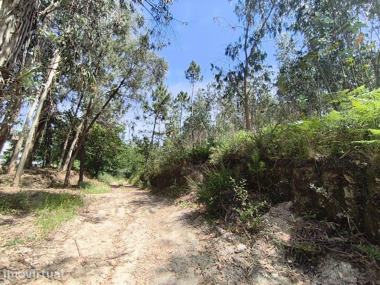 Terreno urbano, em Regadas, Fafe - Grande imagem: 3/16
