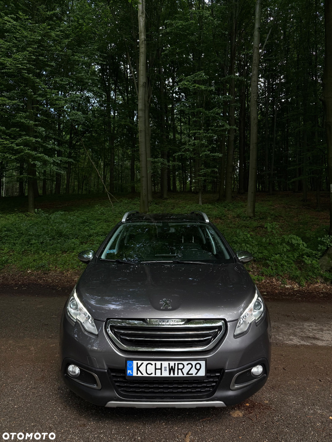 Peugeot 2008 1.2 PureTech Active Pack S&S - 4