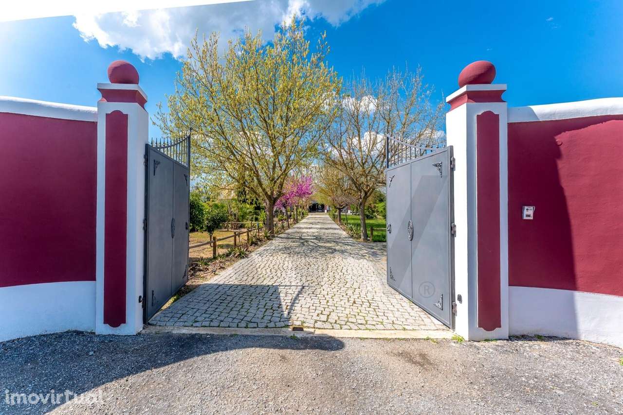 Magnífica Quinta com Piscina e Olival em Reguengos de Monsaraz - Grande imagem: 2/52