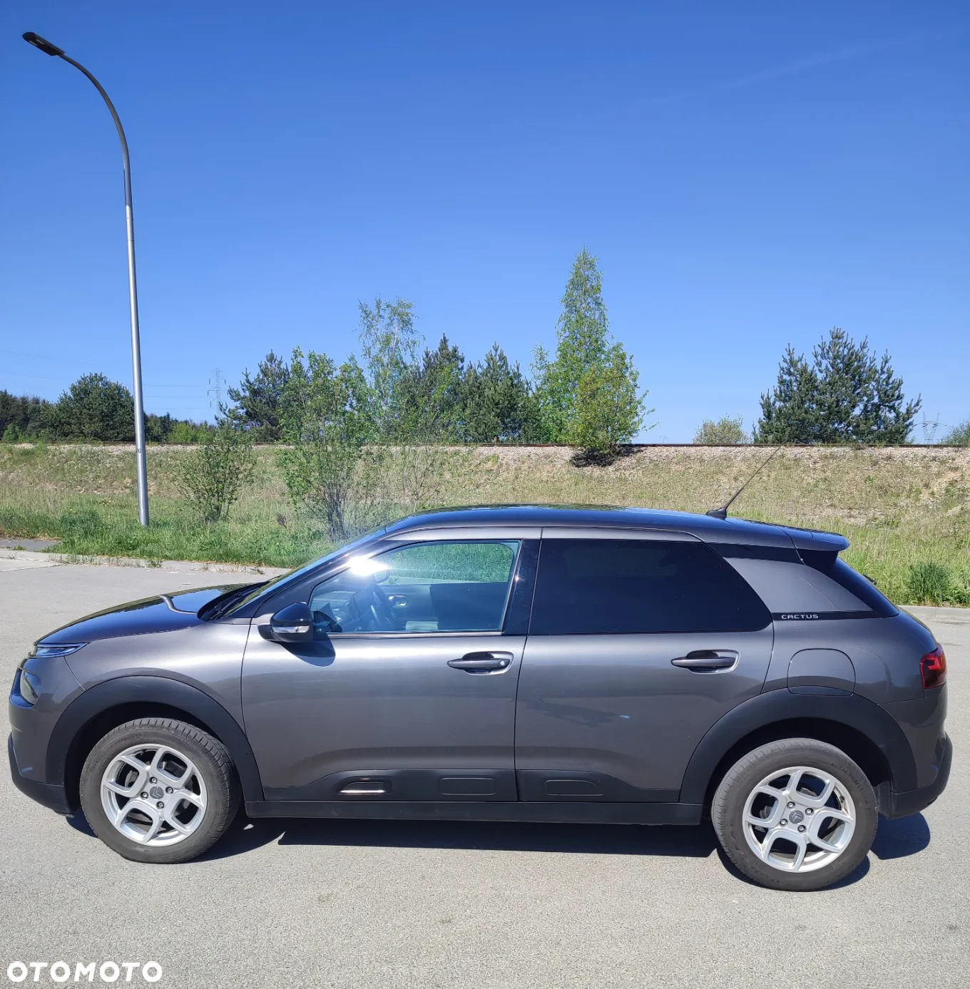 Citroën C4 Cactus 1.2 PureTech Shine S&S - 6