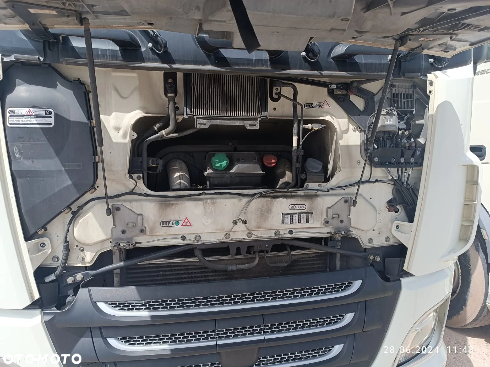 DAF DAF FT 460 XF - 12