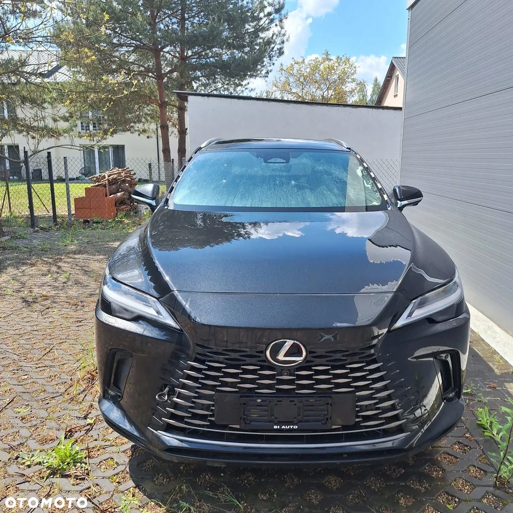 Lexus RX - 17