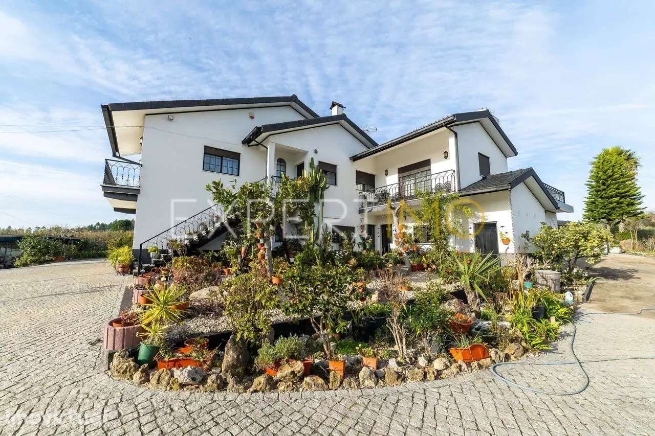 Quinta com moradia T4, anexos, área de lazer, vinhas em 19.000m2 de... - Grande imagem: 5/24