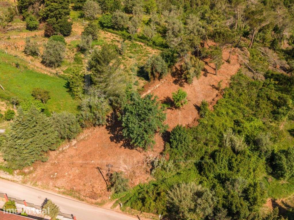 Terreno com Projeto aprovado | Assafarge - Grande imagem: 2/17