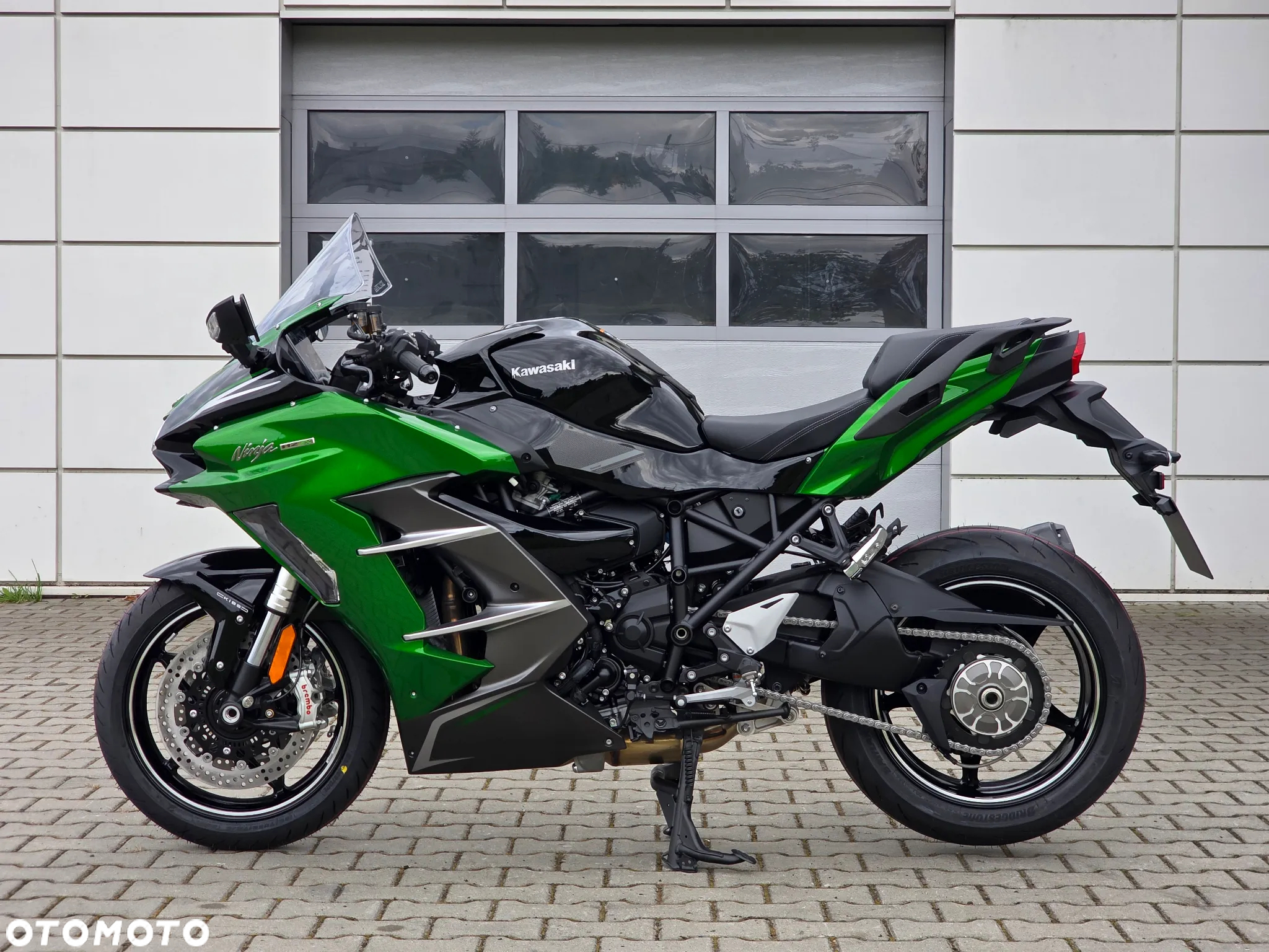 Kawasaki Ninja H2 SX - 3