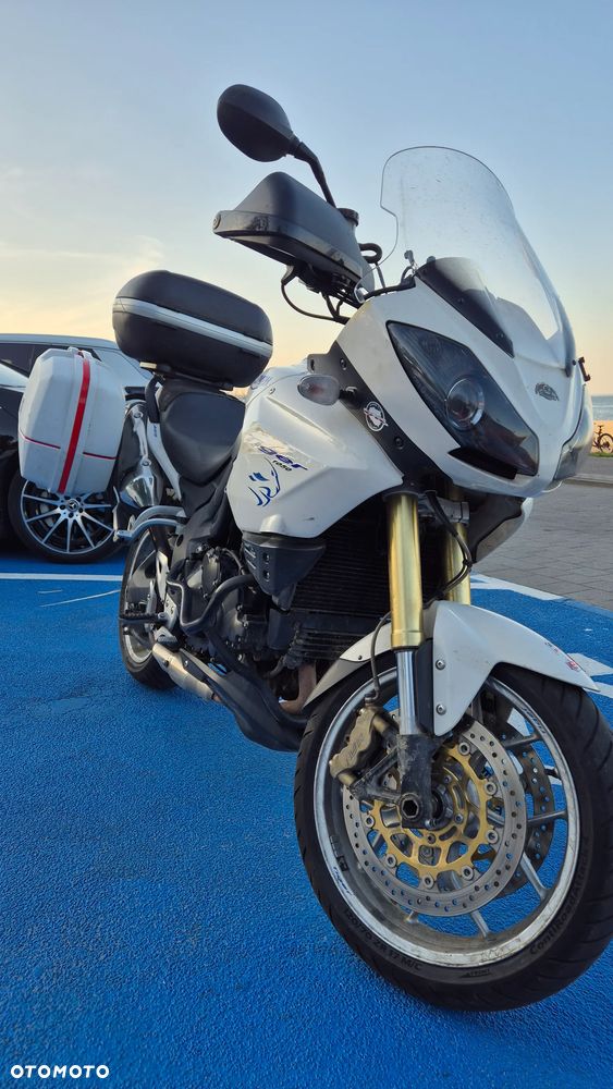 Triumph Tiger - 9
